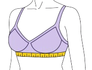 bra size calculator band size sample image