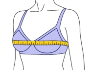 bra size calculator bust size sample image